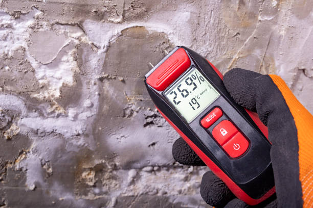 Best Mold Removal Specialists  in Donald, OR